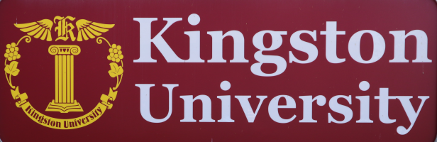 Kingston University - Learning Management System